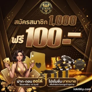 iok 66 วอเลท